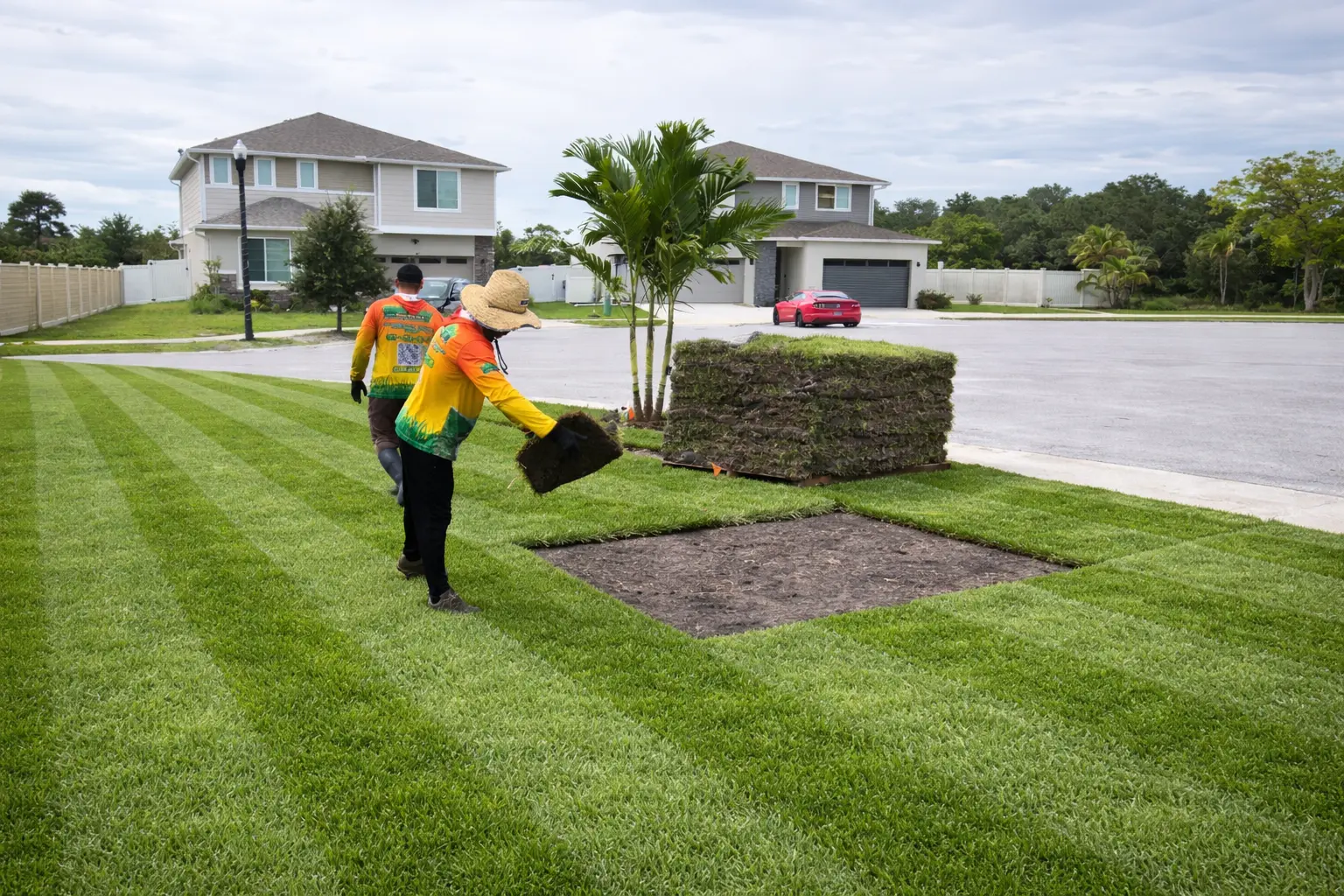 Sod Installation